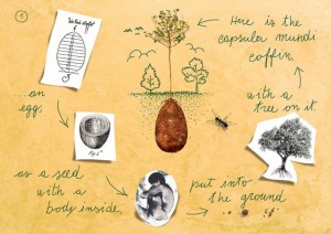sacred-memory-forest-biodegradable-burial-pod-capsula-mundi-2-640x453