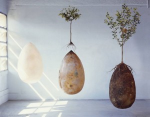 sacred-memory-forest-biodegradable-burial-pod-capsula-mundi-8-640x499