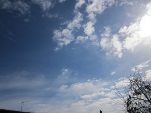 IMG_0851