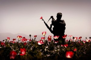 fleur au fusil