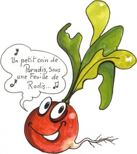 le_radis_(dit_pad_soussis)