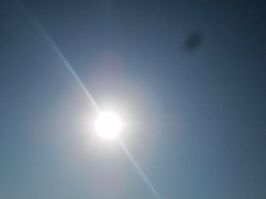 IMG_0891