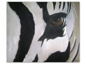 -l_oeil_du_zebre