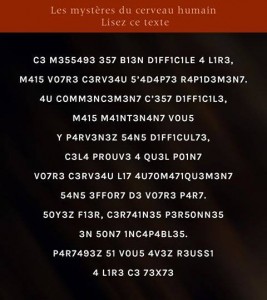 logique-cerveau