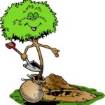 plantation1