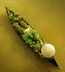 pagaie verte