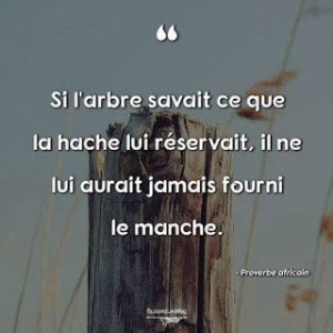 arbre + hache