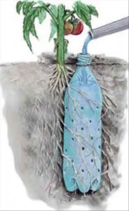 astuce jardin