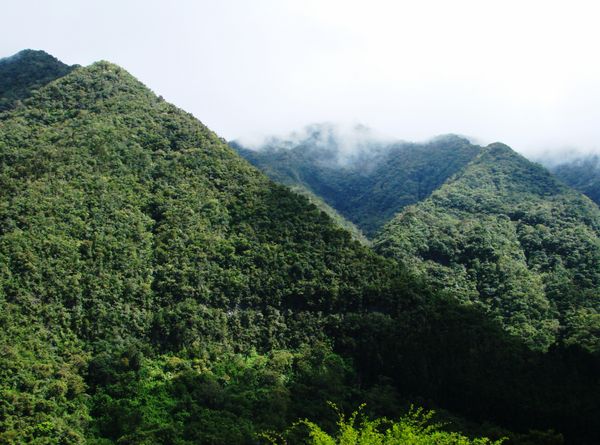 Pyramide des makes Ile de la réunion