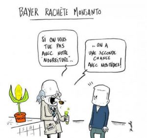 bayer