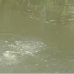 louisiane