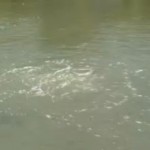 louisiane 2